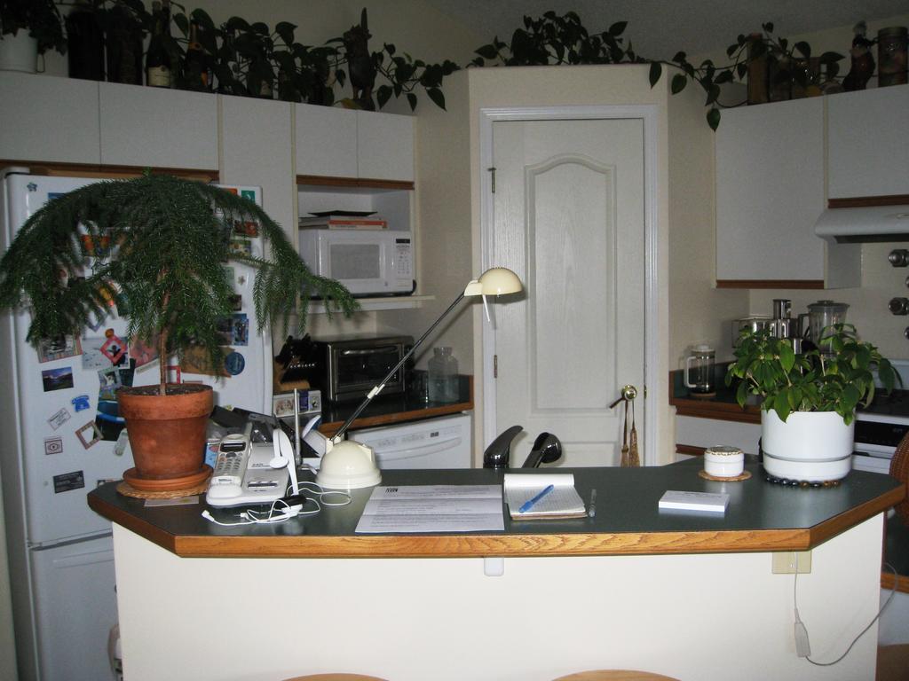 Avens Renaissance B&B Canmore Exterior photo
